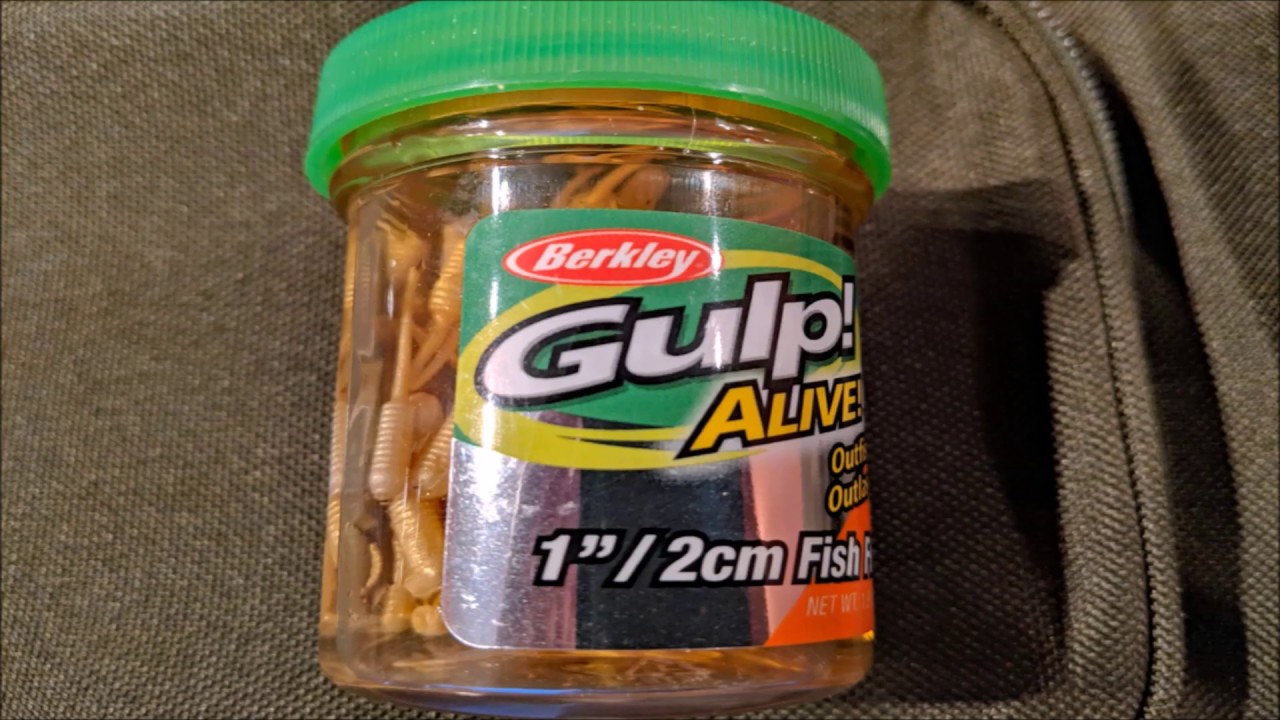 Berkley Gulp Fry : Test 1