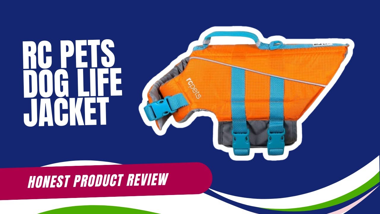 An honest review of RC Pets Dog Life Jacket