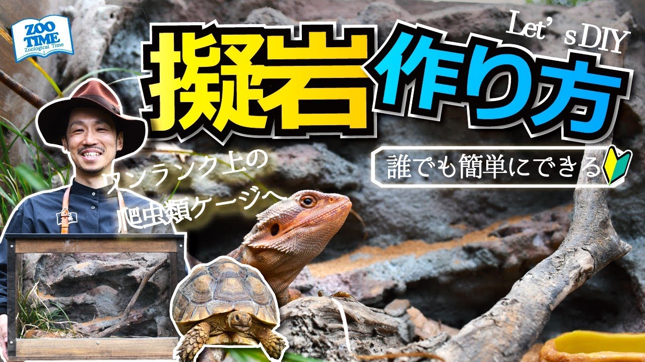 ★【擬岩DIY方法】立体行動ができる爬虫類ケージへ改造 【誰でも簡単に作れる方法】シェルター作りの参考にも