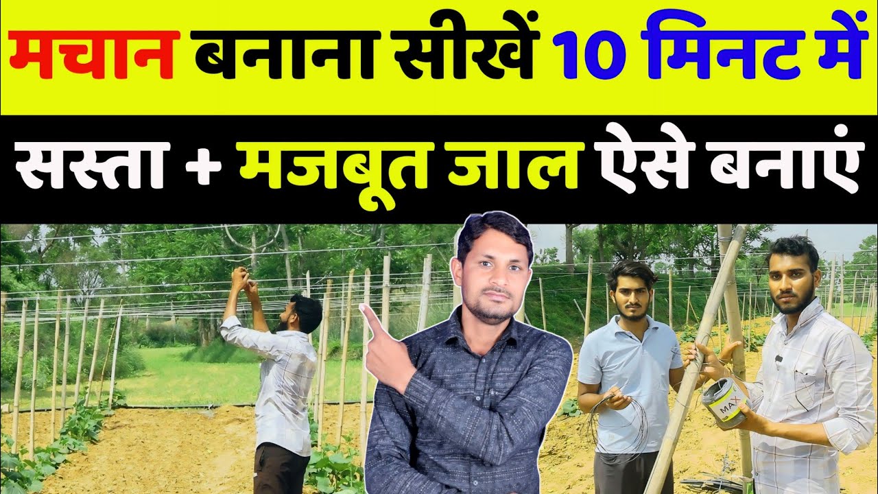 सस्ता और मजबूत मचान कैसे बनाएं | lauki ke liye machan kaise banaye | machan kaise banaya jata hai