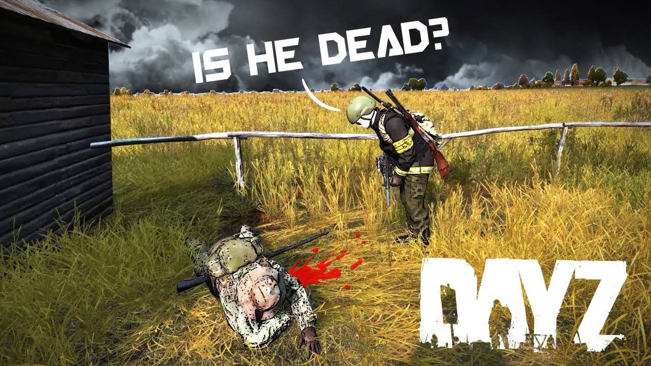 Играю с самым большим идиотом DayZ...