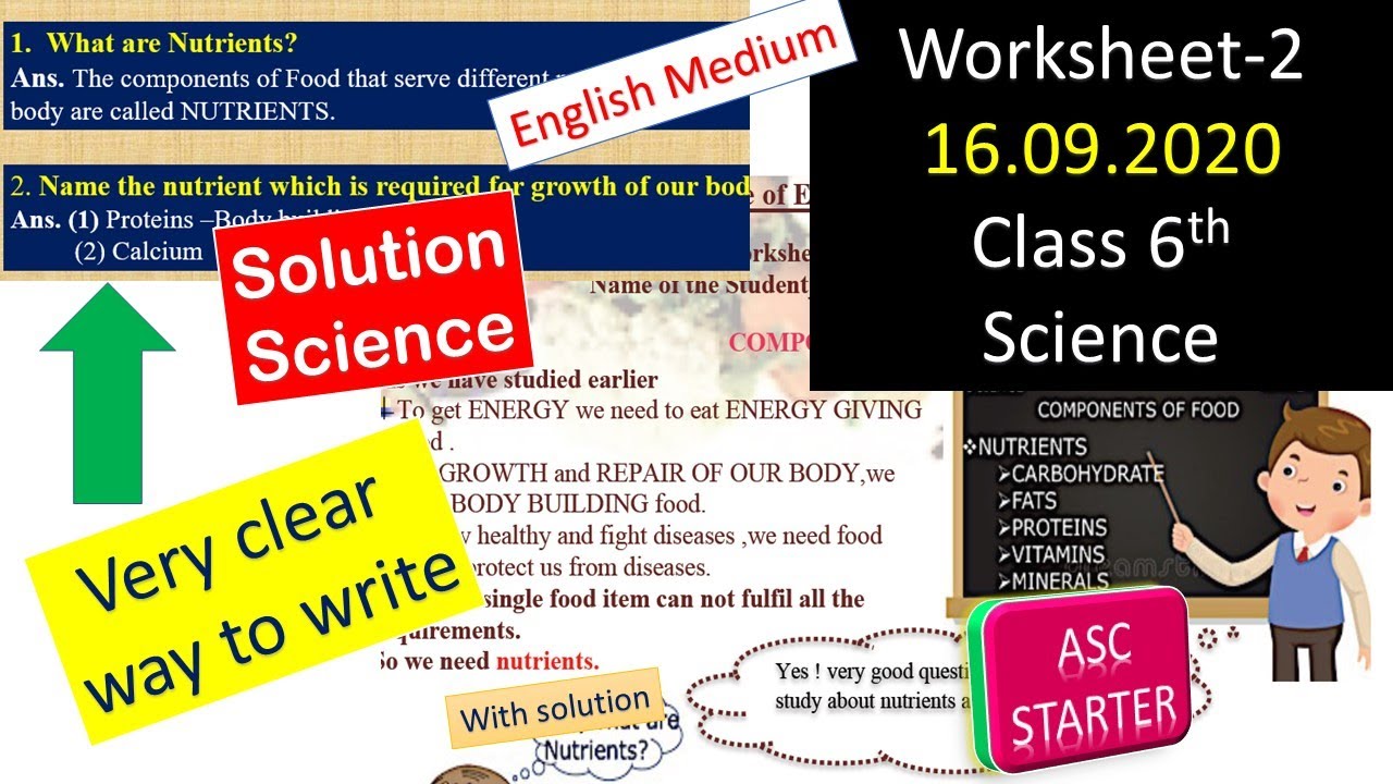 worksheet 2 class 6 science (English Medium) with solution 16.09.2020 wednesday today worksheet