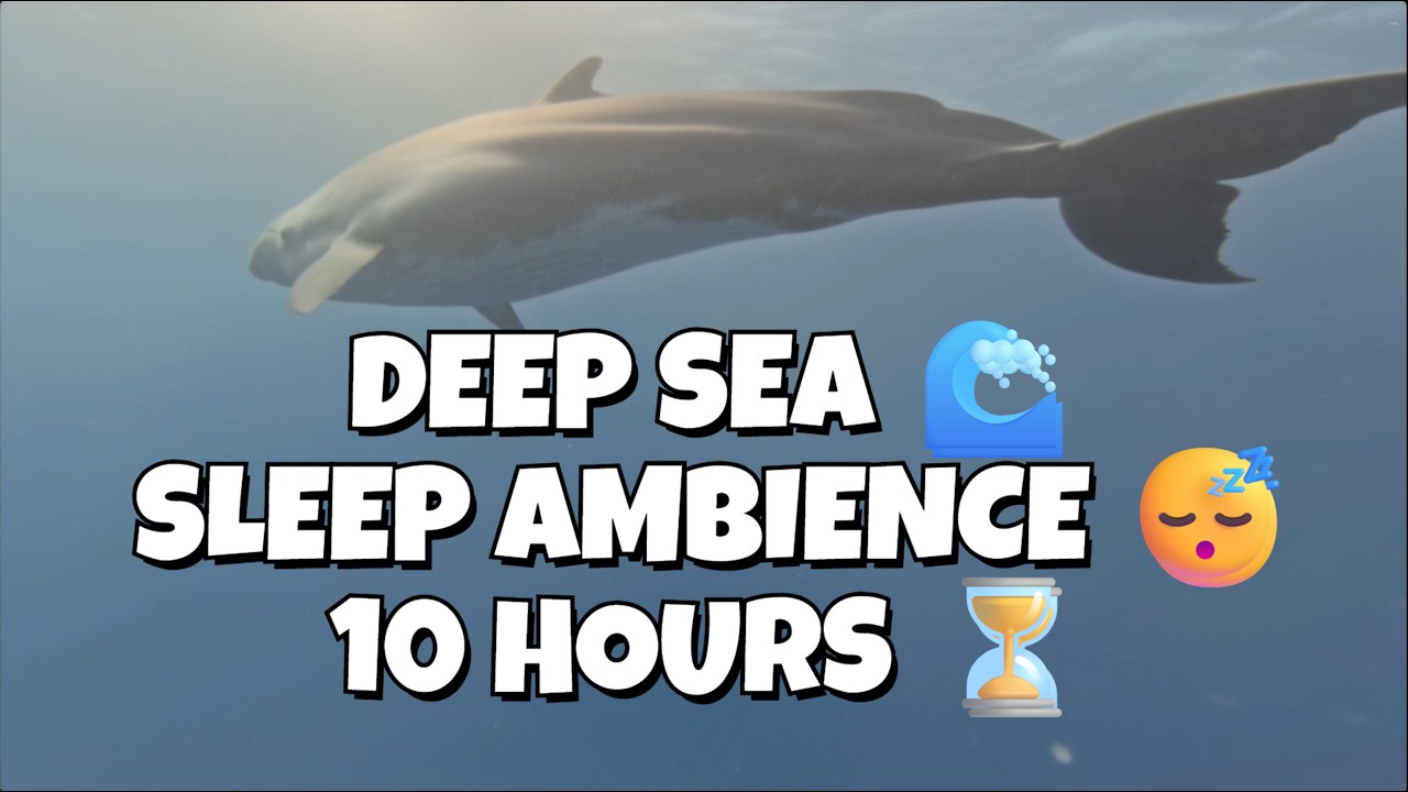 10 HOURS Underwater Ocean Ambience 🌊 Deep Sea Sounds (No Music, No Talking) | Deep Sleep Ambience