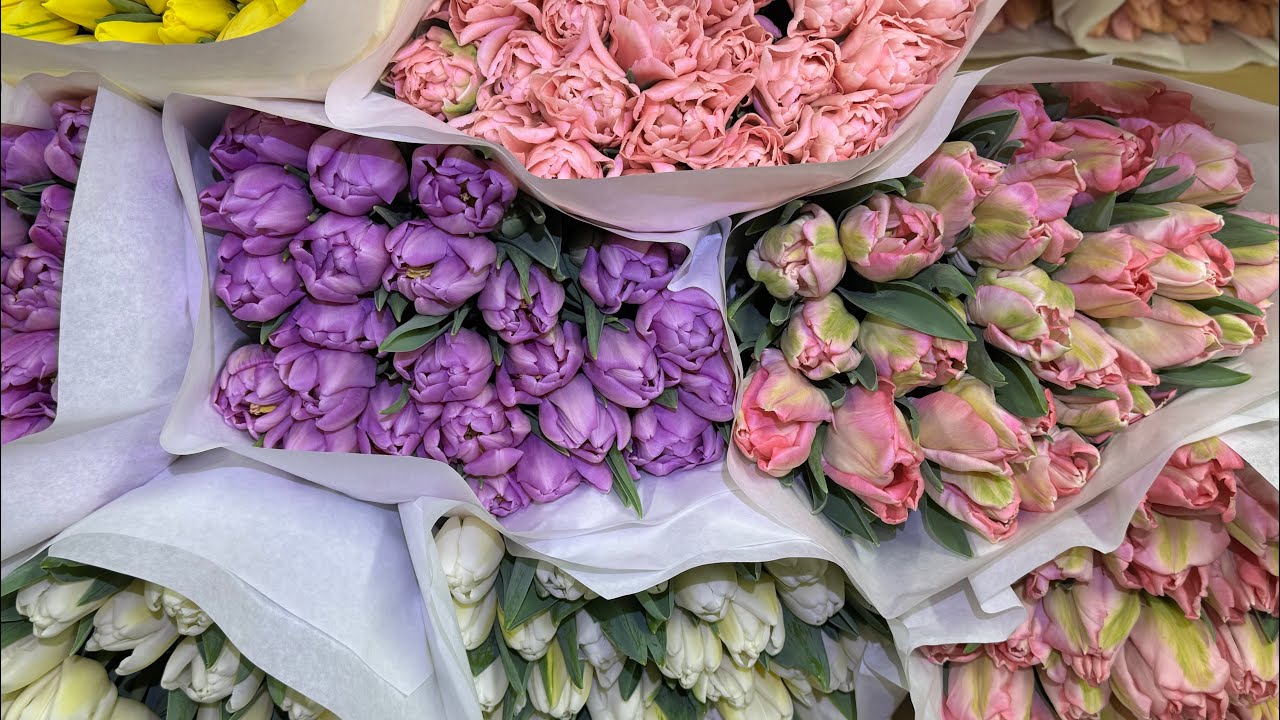 22.02 Вигонка тюльпанів на 8 березня🌷 