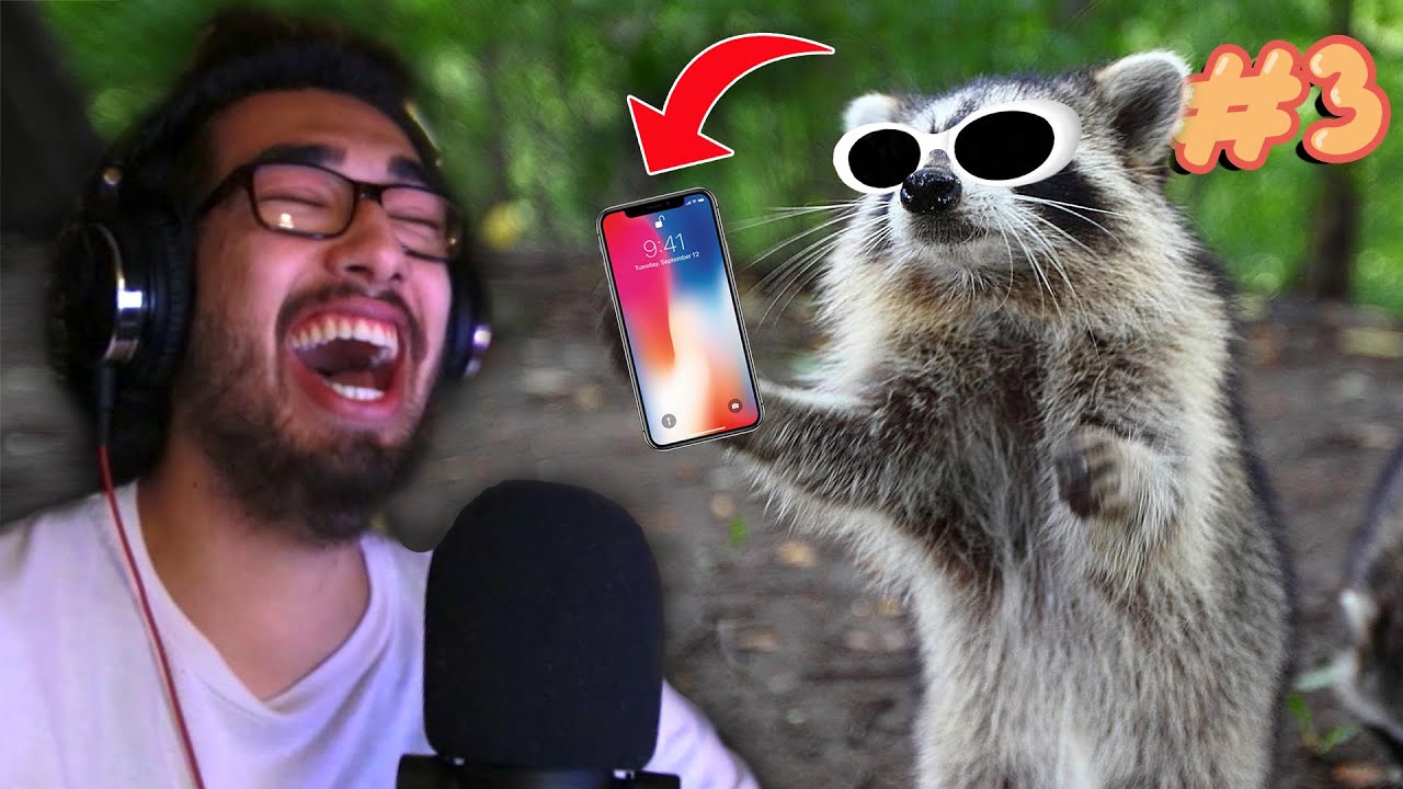 Racc's NEW phone! (because he destroyed his last one) - The Cookout #3