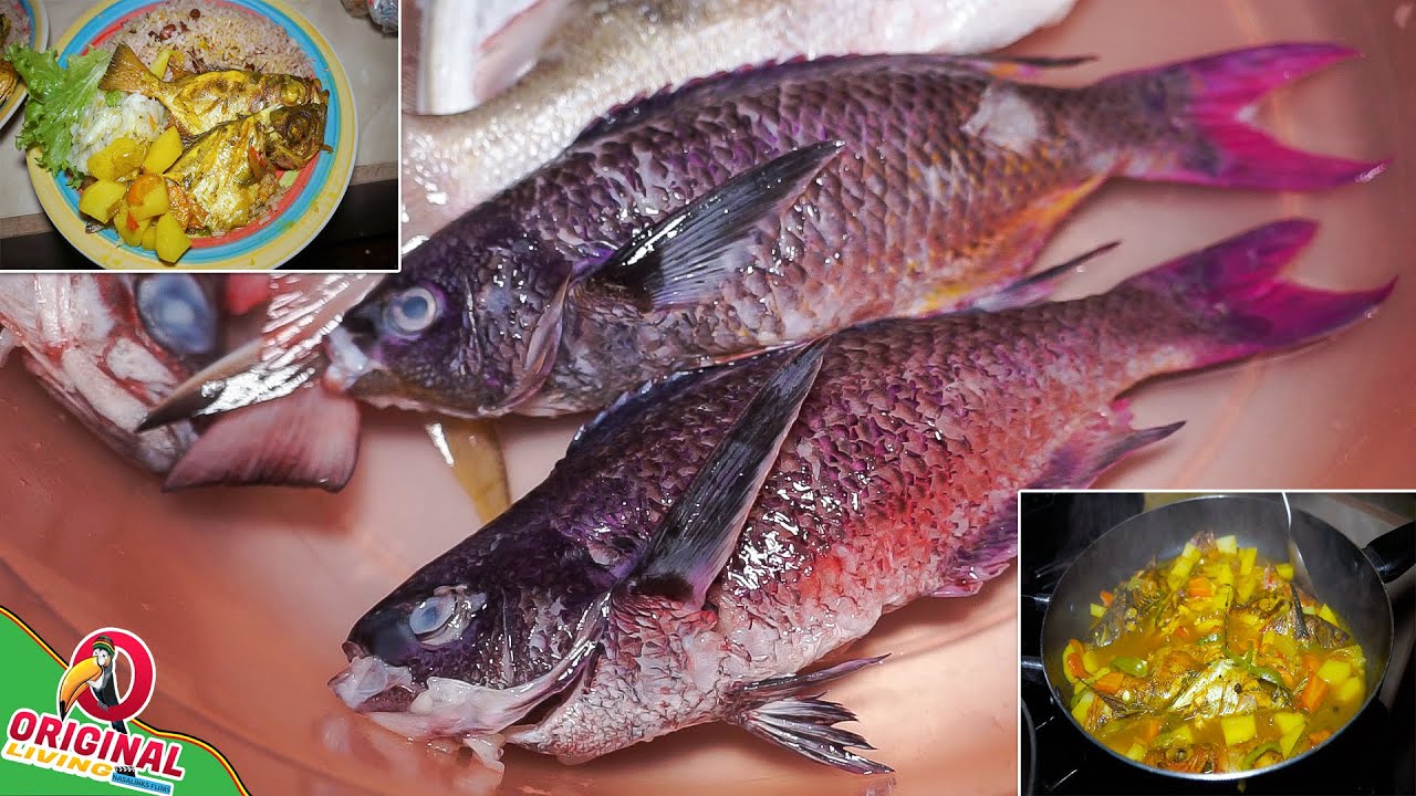 Curry Fish For Sunday Dinner | Damselfish Catch & Cook - Spearfishing Adventure