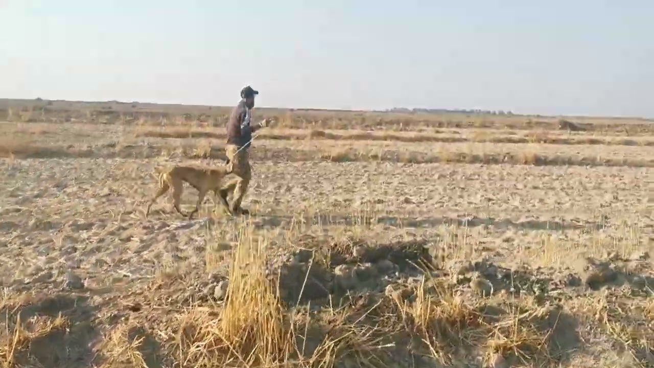 باسم الحمداني تاريخ10 12//2024