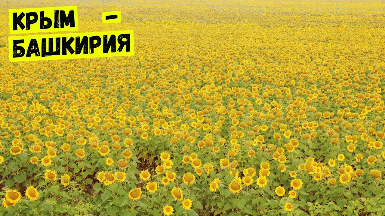 Нугушское и Юмагузинское водохранилище, Мурадымовское ущелье