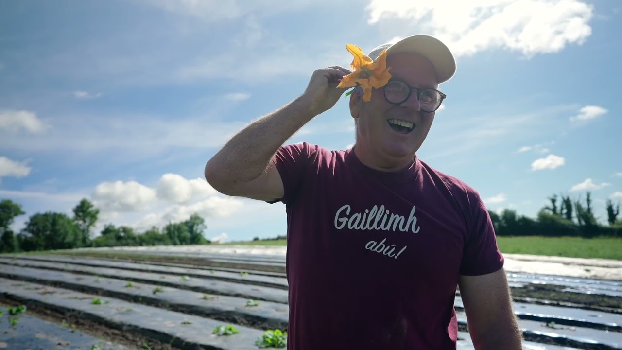 From Soil to Plate: Beechlawn Organic Farm | Beyond the Plate