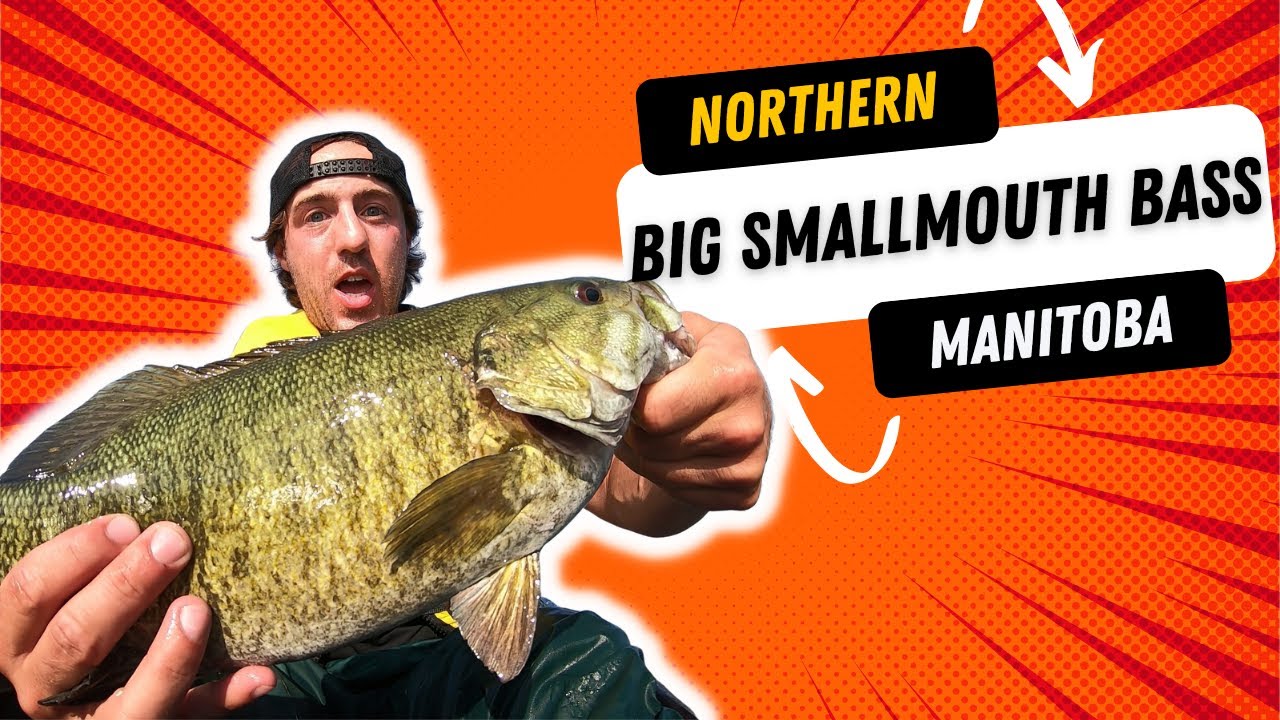 Manitoba Smallmouth Bass Fishing (Rocky Lake)