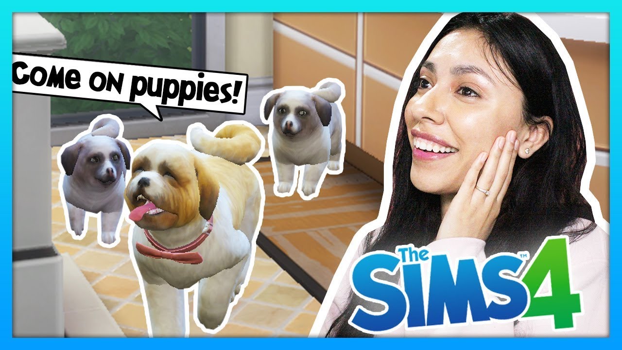 НАША СОБАКА РОДИЛА ЩЕНКОВ! ВСТРЕЧАЙТЕ НОВЫХ МАЛЫШЕЙ! - The Sims 4 - Моя жизнь - Эпизод 14
