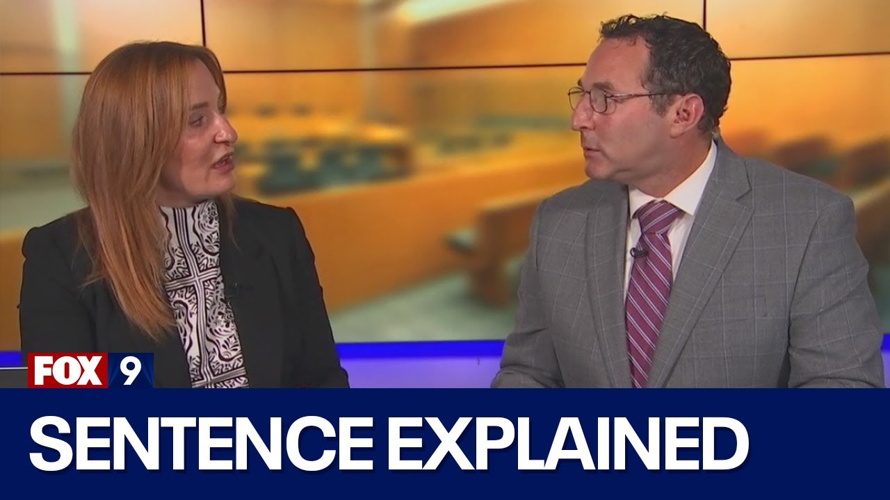 Apple River stabbing: Criminal defense lawyer explains Nicolae Miu’s sentence
