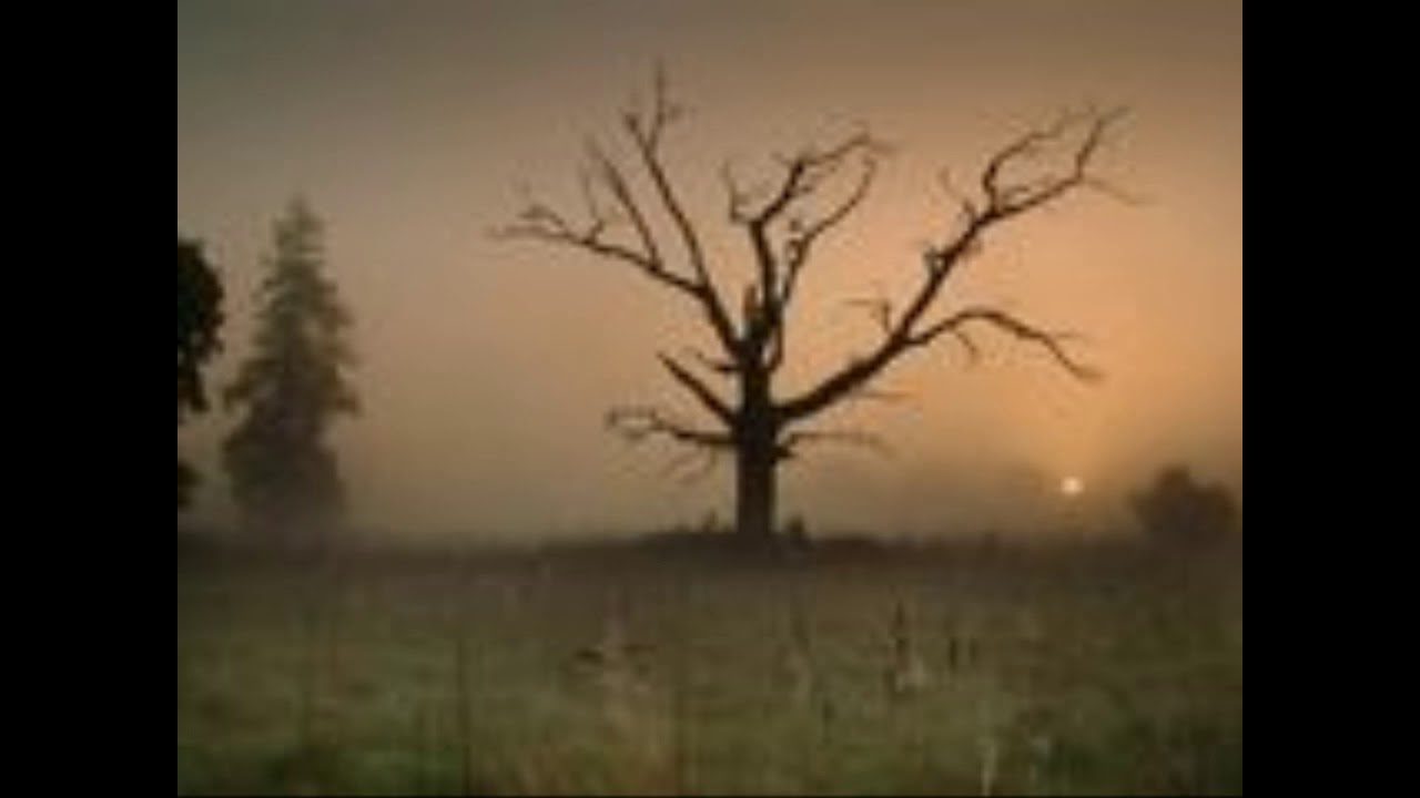 The Ghost Of 3.13 - Forgotten (sped up ver.)