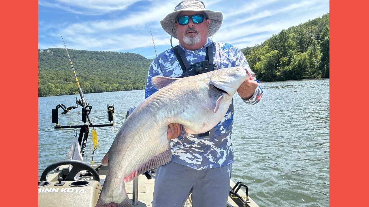 Catfishing at Lake Nickajack Tennessee! 8-25-25
