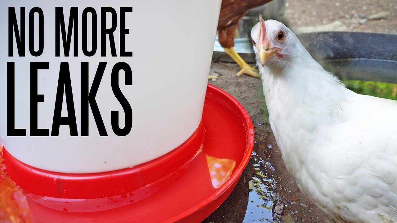 Ремонт протекающей поилки для птицы Harris Farms Easy-Fill