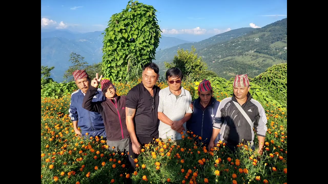 Dawaipani Pinnacle Homestay 