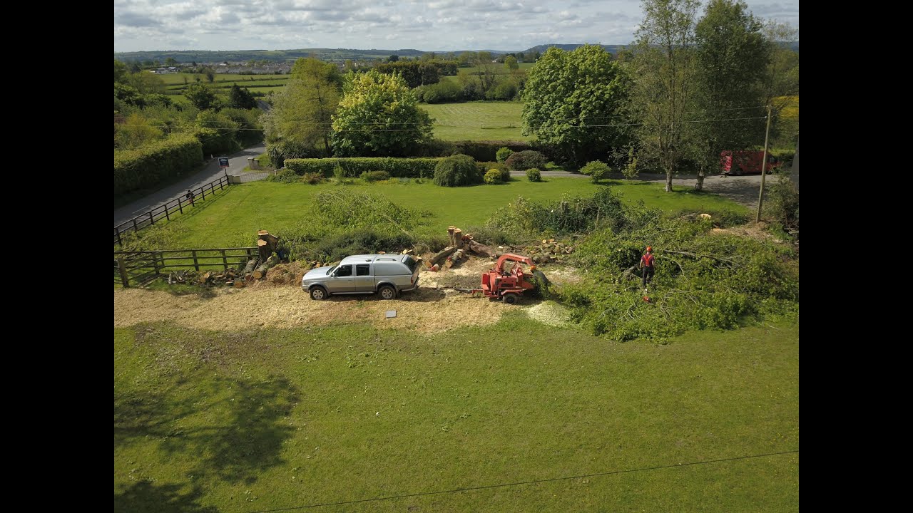 Trees removeal, site clearance.