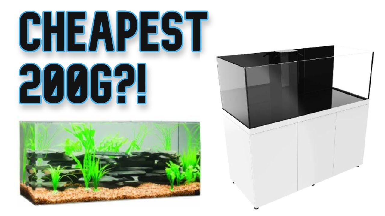 Finding the Cheapest 200g Setup