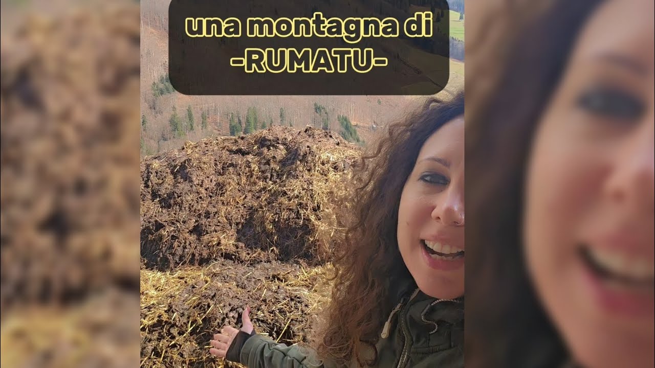 Una montagna di Rumatu mentre facevamo la nostra escursione 🤭🐄🇨🇭