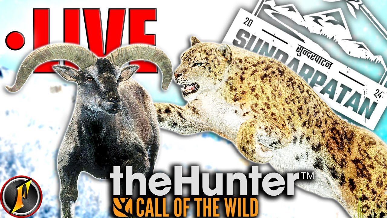 Beating the Heatwave with a Sundarpatan Mountain Hunt! [Early Access] | LIVE