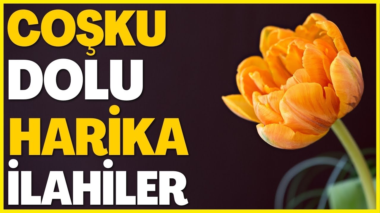 🌹🕋🤲🏽 COŞKU DOLU HARİKA İLAHİLER | MUHAMMED'İN SOL YANINDA YARENLER YARENLER 🌹🕋🤲🏽