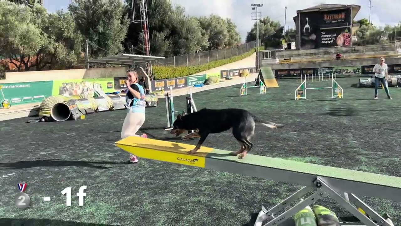 Greek Agility Championship 2024- Jet, Eip, Hayami