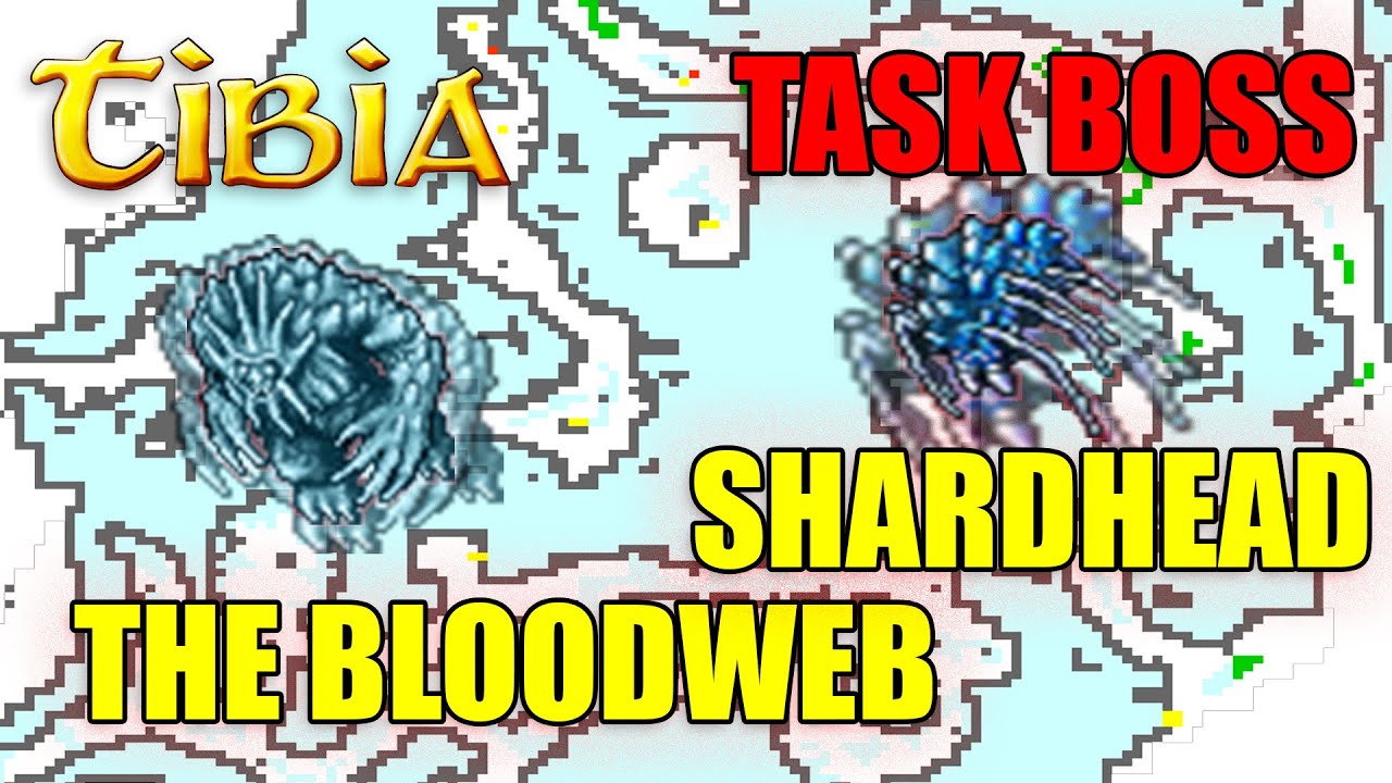 Shardhead i The Bloodweb - DROGA DO BOSSÓW - TIBIA