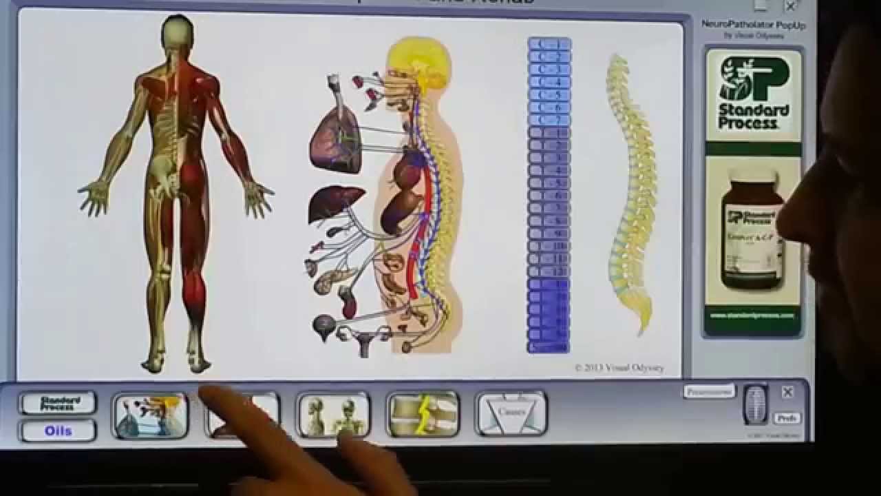 Erectile Dysfunction Nerve Inflammation