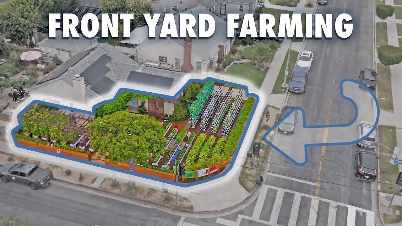 🌱 How Crop Swap LA Is Growing Food Justice - with Front Yard Gardens 🌎