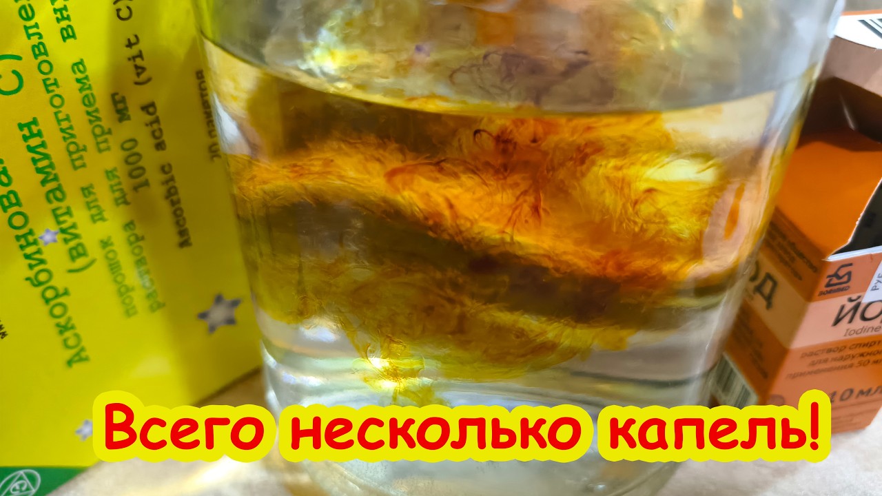 Добавьте 2 капли ЙОДА и рассаду будет НЕ УЗНАТЬ! Станет толстой и крепкой. Секрет крепкой рассады.