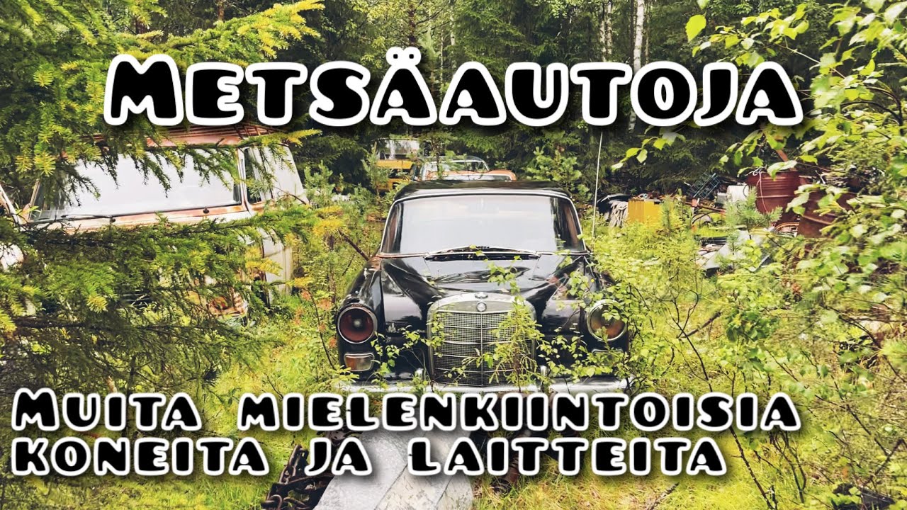 Autoja mopoja traktori ja koneita metsässä