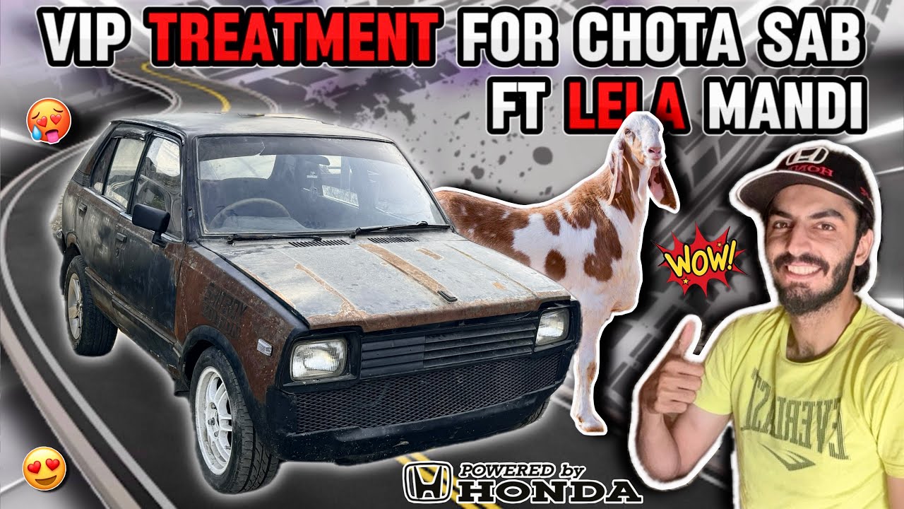 VIP Treatment For Project FX 🔥 LVL Detailing 🤩 Ft Mandi Scenes 😍 TEAM-4K