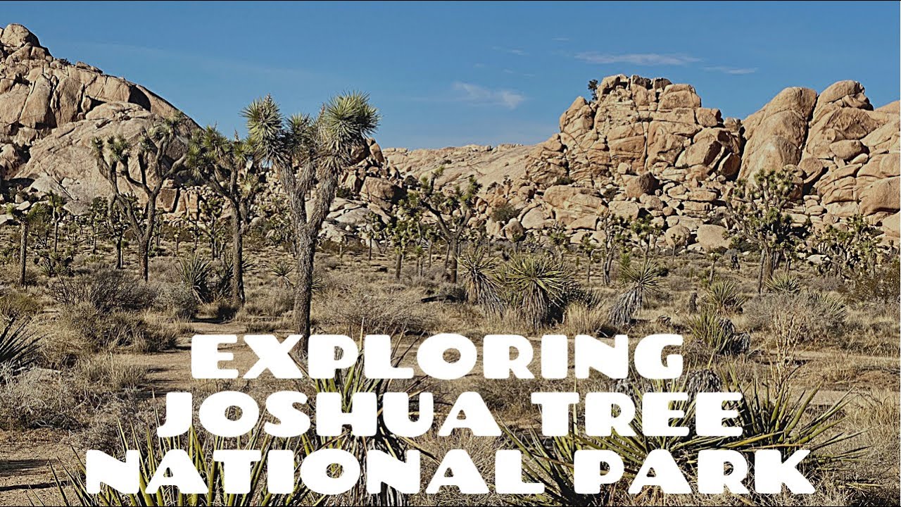 Joshua Tree, Part 1