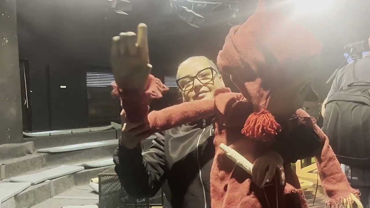 Pinokkió werk