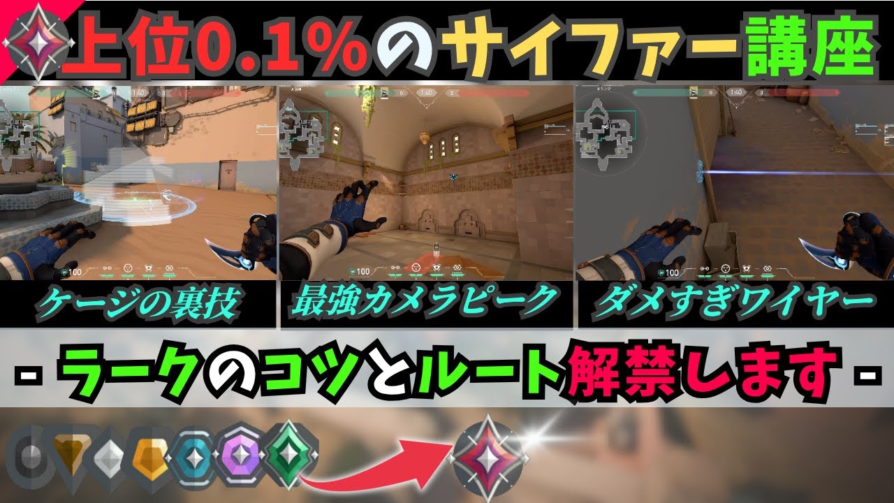 【ラークルート×忍者×スピード感】ラークについてよくわからない方必見!!　　4年間ラークしてきました