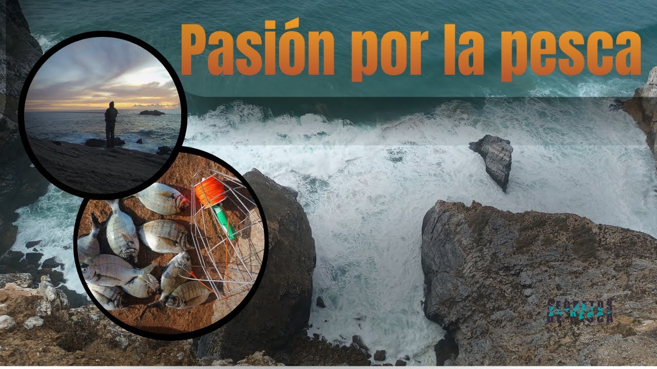 Pesca en Acantilado: Reflexiones sobre el Mar, la Paciencia y la Libertad