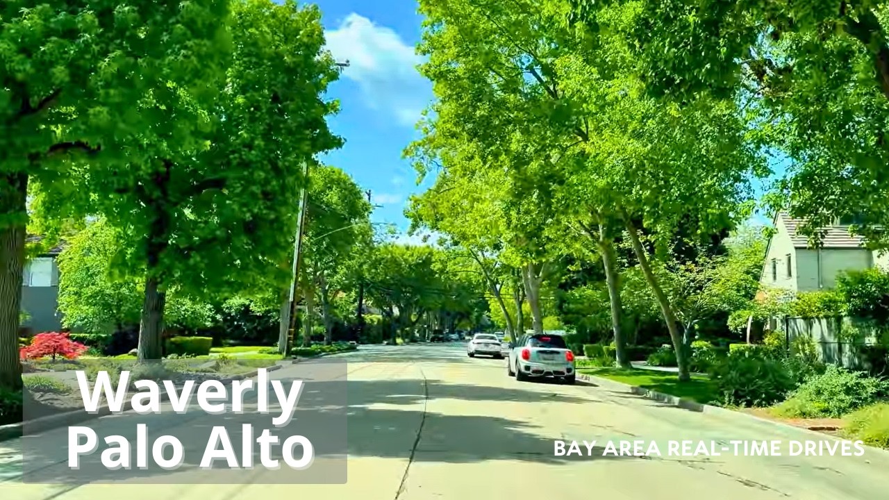 Waverley Street to Palo Alto Avenue | Palo Alto Drive (Real-Time Drive, No Music)