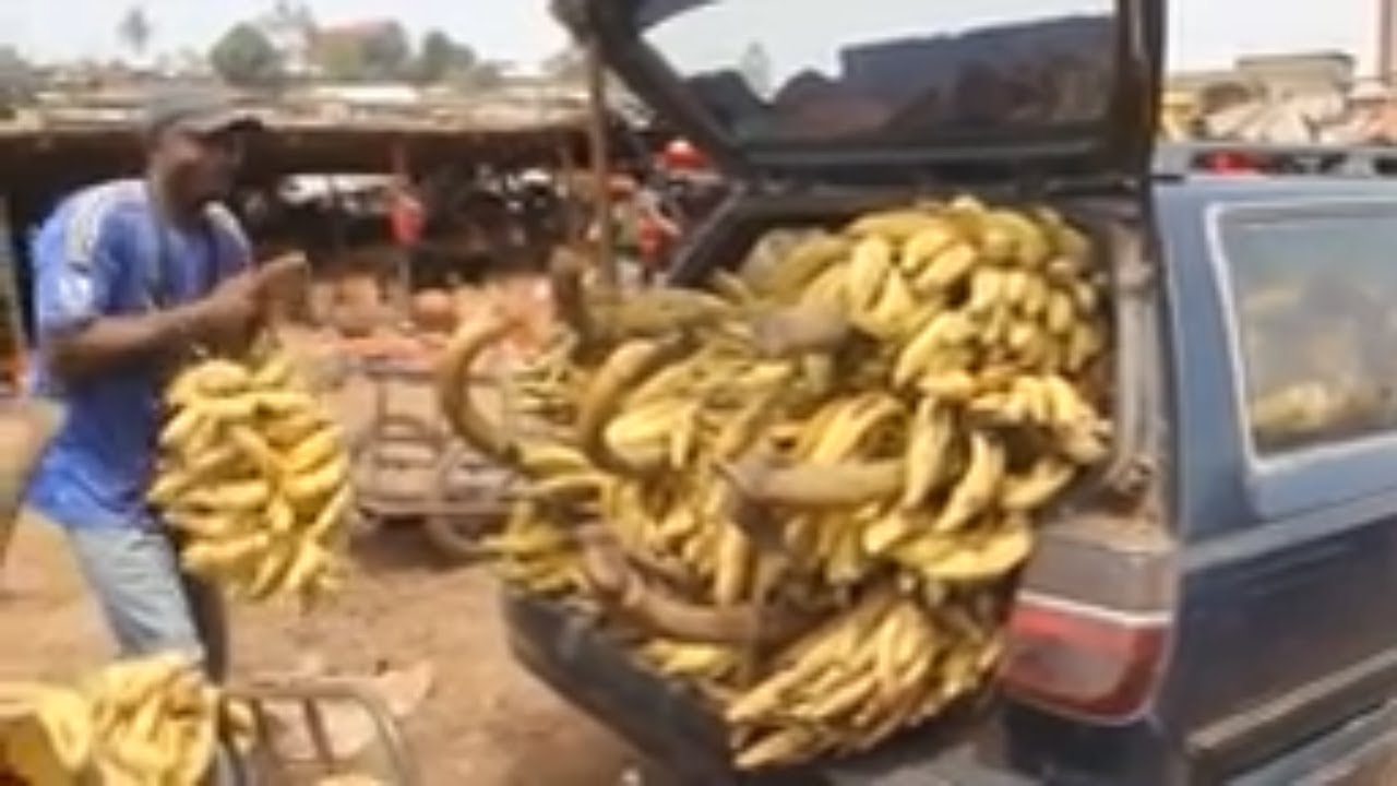 My journey to Bamenda food market | North West Region of Cameroon