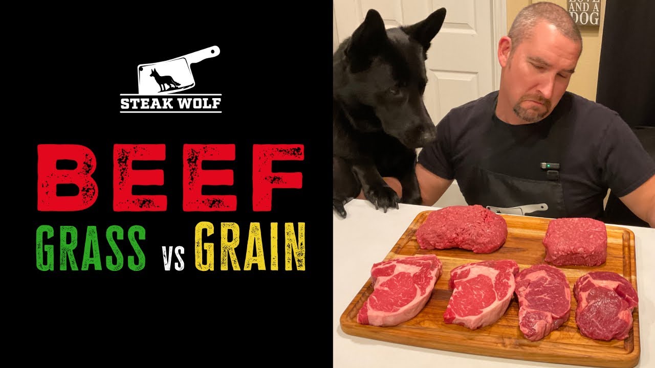 Choosing the BEST Quality Meat GRASS FED or GRAIN FED