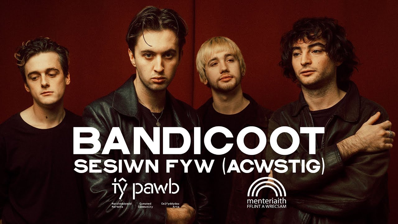 Bandicoot: Sesiwn Fyw (Acwstig) // Live Session (Acoustic)