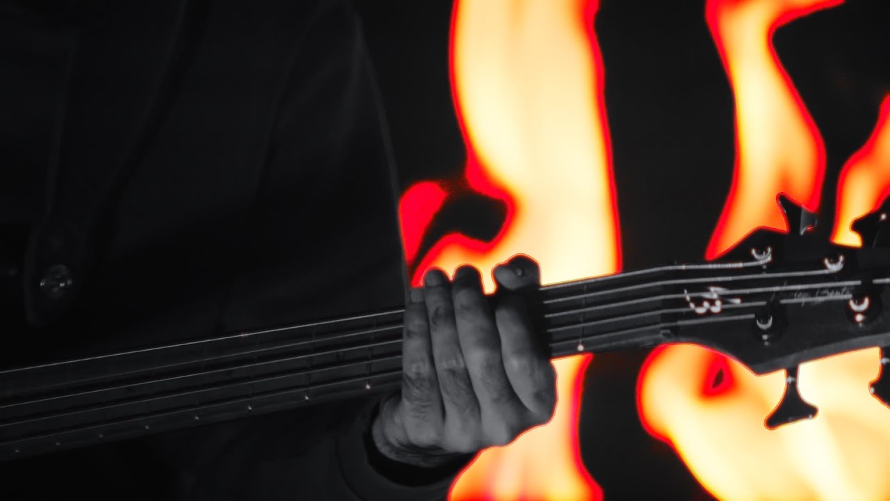 Forest Fire