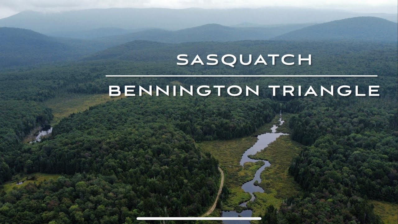 Sasquatch : The Bennington Triangle