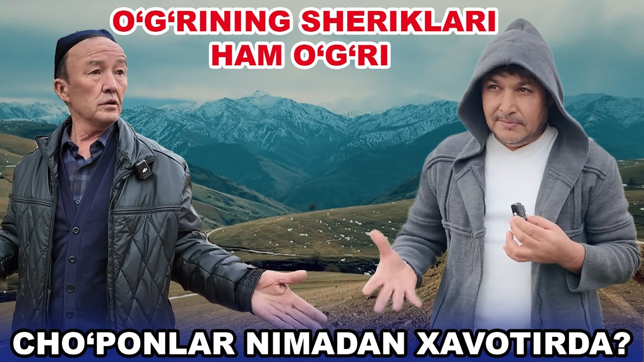 254 TA QO'YNI BIR KISHI O'G'IRLASHI MUMKINMI? SHERIKLARI SUVDAN QURUQ CHIQMOQDA. TOSHKENT VILOYATI