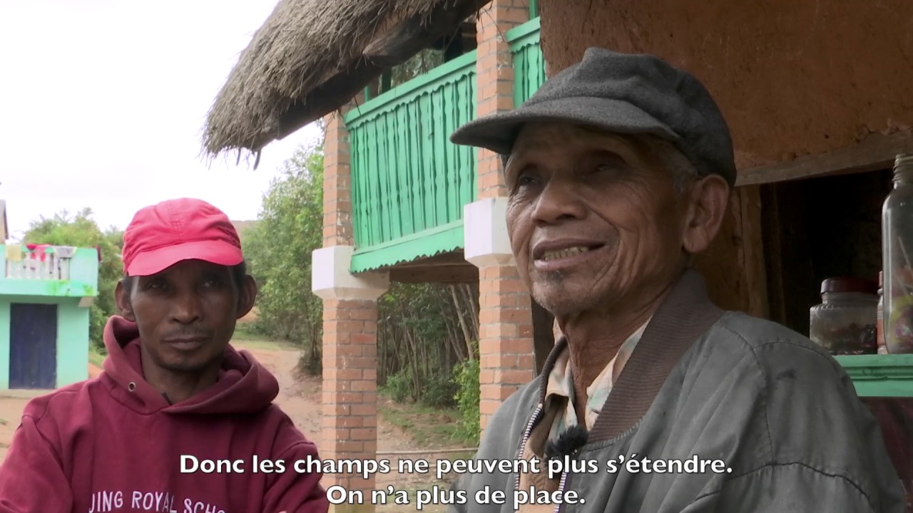 Environnement   la surchauffe   CUEJ info