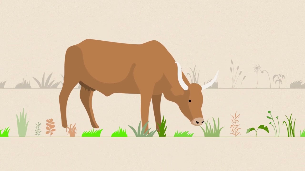 Productivity and Sustainability Can Increase at the Same Time