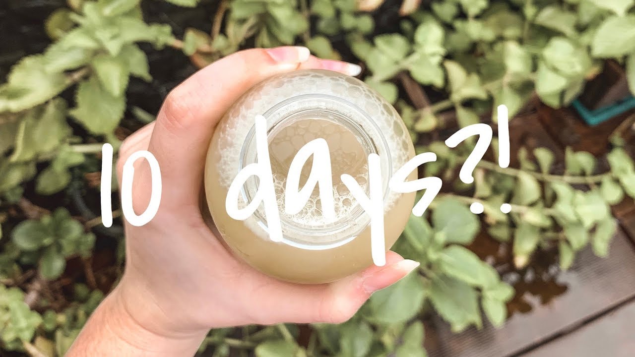 i tried a 10 day juice cleanse :) #13