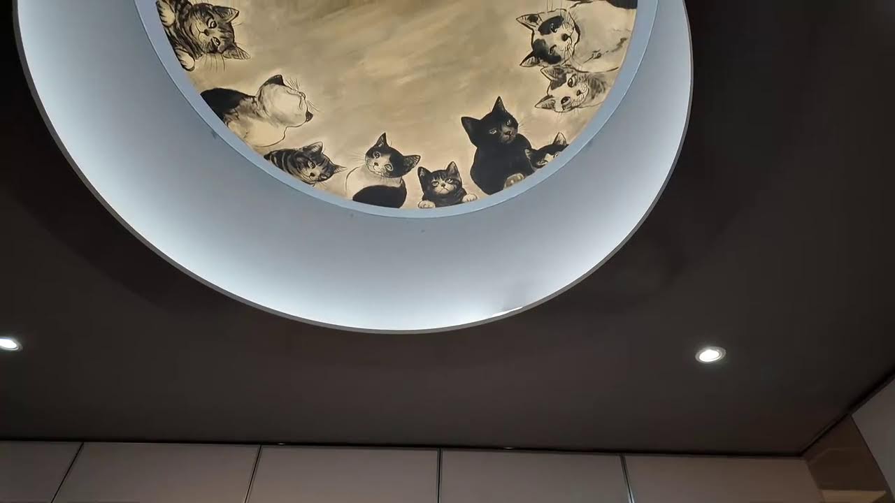 The World First Art Museum Only About Cats - Awaji Island Day②-