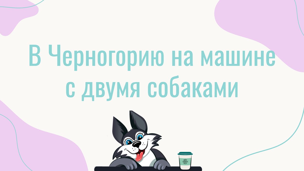 Из России в Черногорию на машине с собаками через Турцию | Как это было?