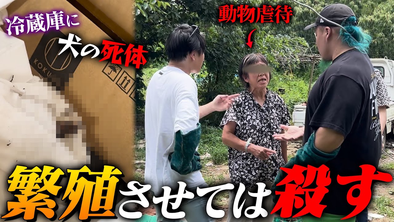 【許せない】犬を虐待する飼い主の心が理解不能だった