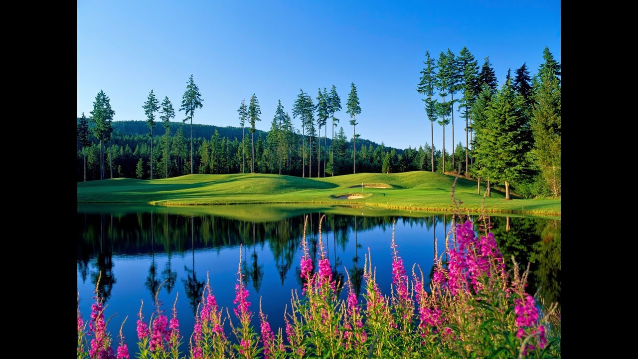 PGA Tour 2K23 Washington Golf Courses - Gold Mountain Golf Club Olympic Course